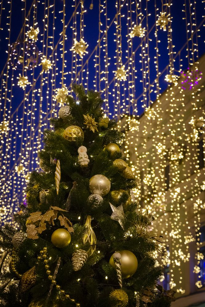 Photograph by Елена Барышева