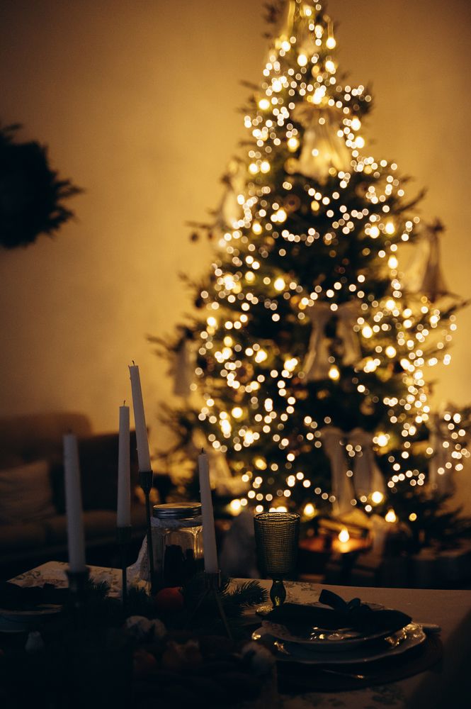 Фотография автора Дарья Дреко