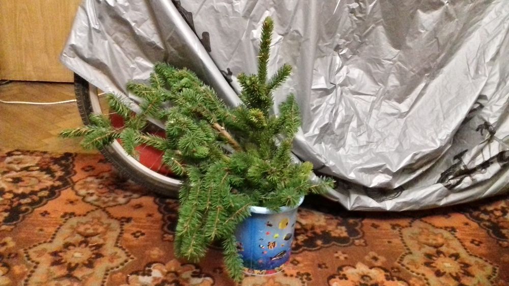 Photograph by Галина Петрушенко