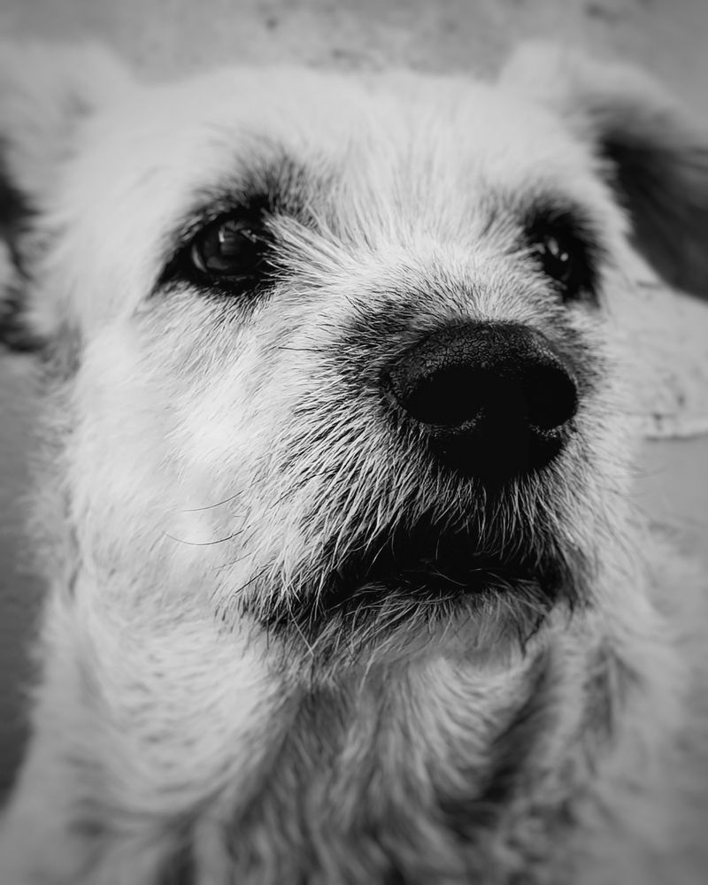 Photograph by adriana menez