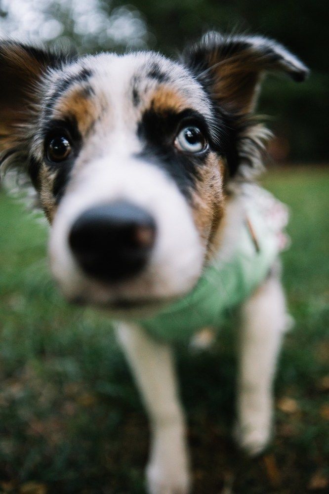 Photograph by Гульнара Айнетдинова