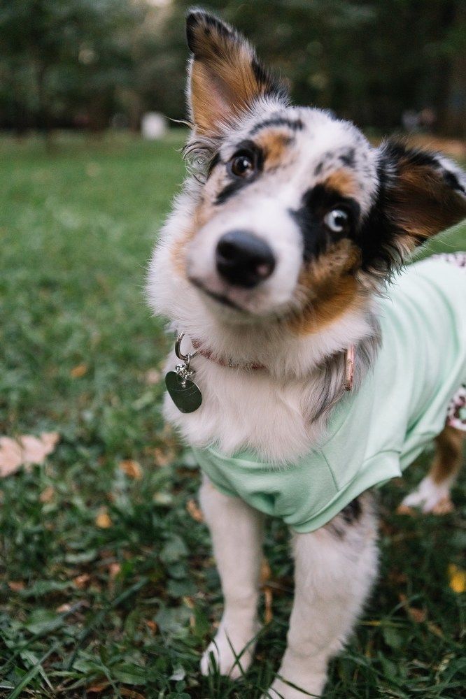 Photograph by Гульнара Айнетдинова