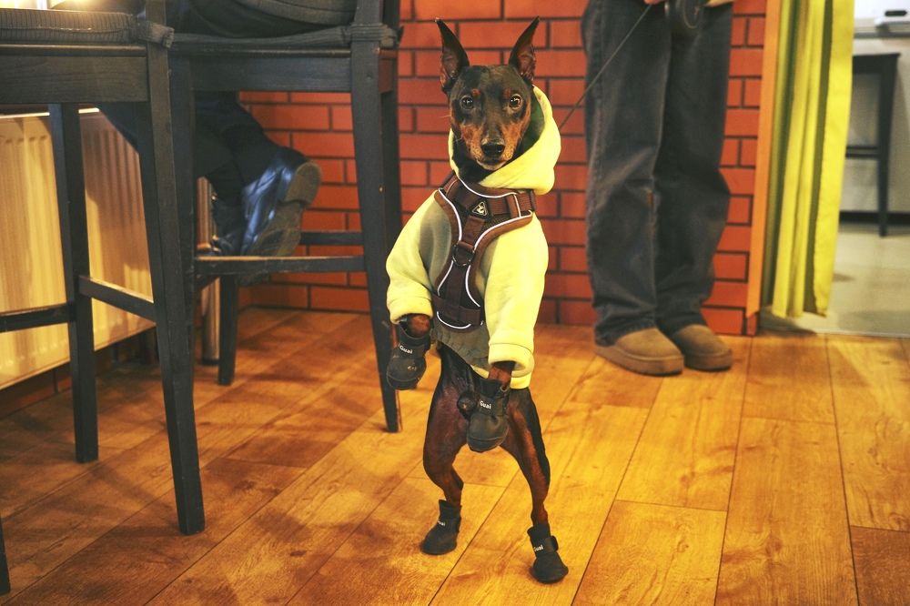 Photograph by Yana Egorova