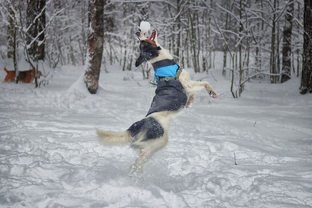 Photograph by Yana Egorova