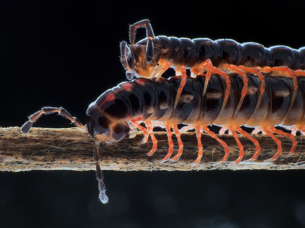 Photograph by Li Chen-You