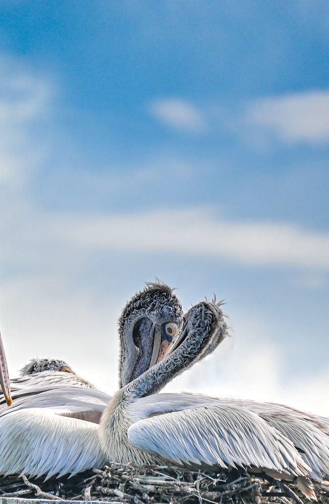 Photograph by shahil shaik