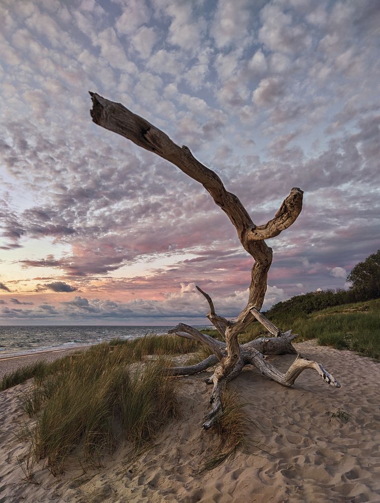 Photograph by Natalia Bolotenkova