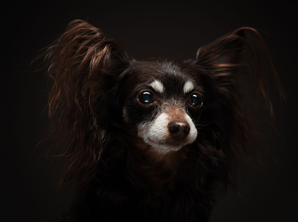 Фотография автора Ольга Ходова