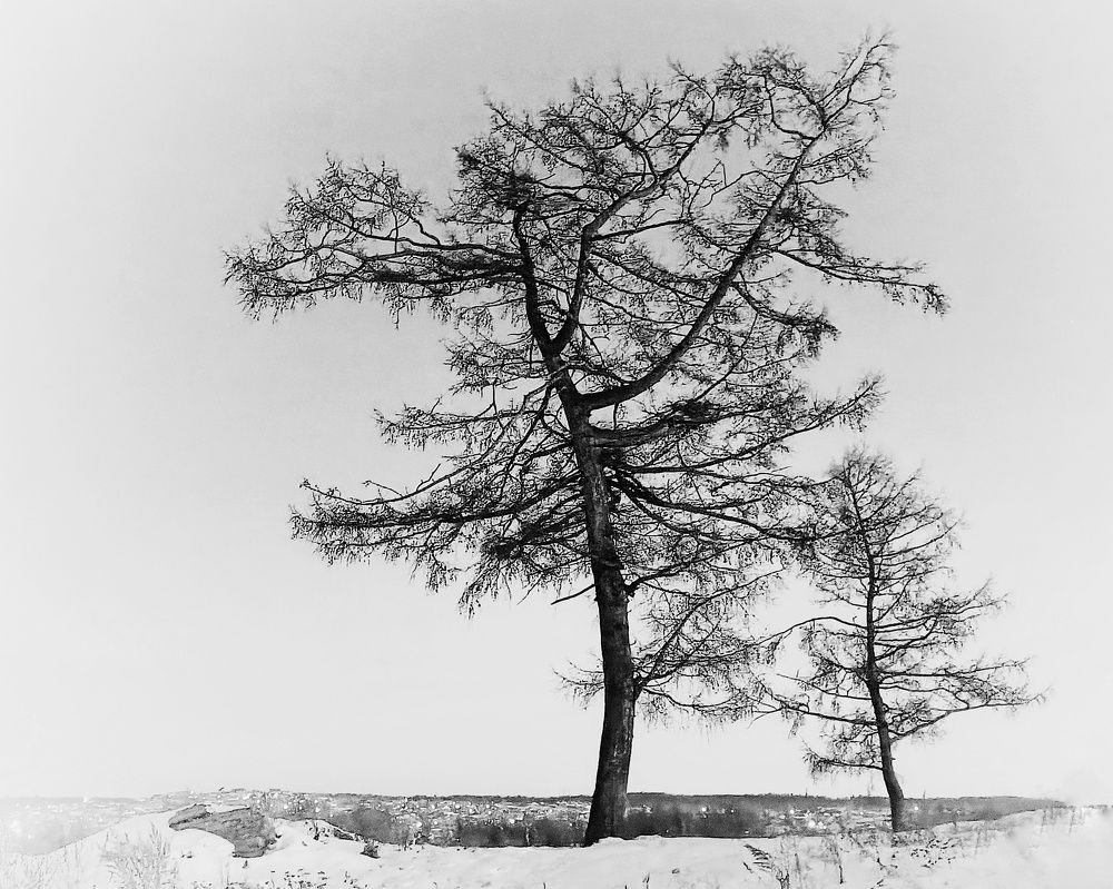 Photograph by Александра Ламанова