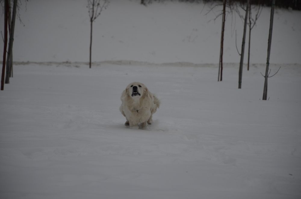 Фотография автора Алексей Власов