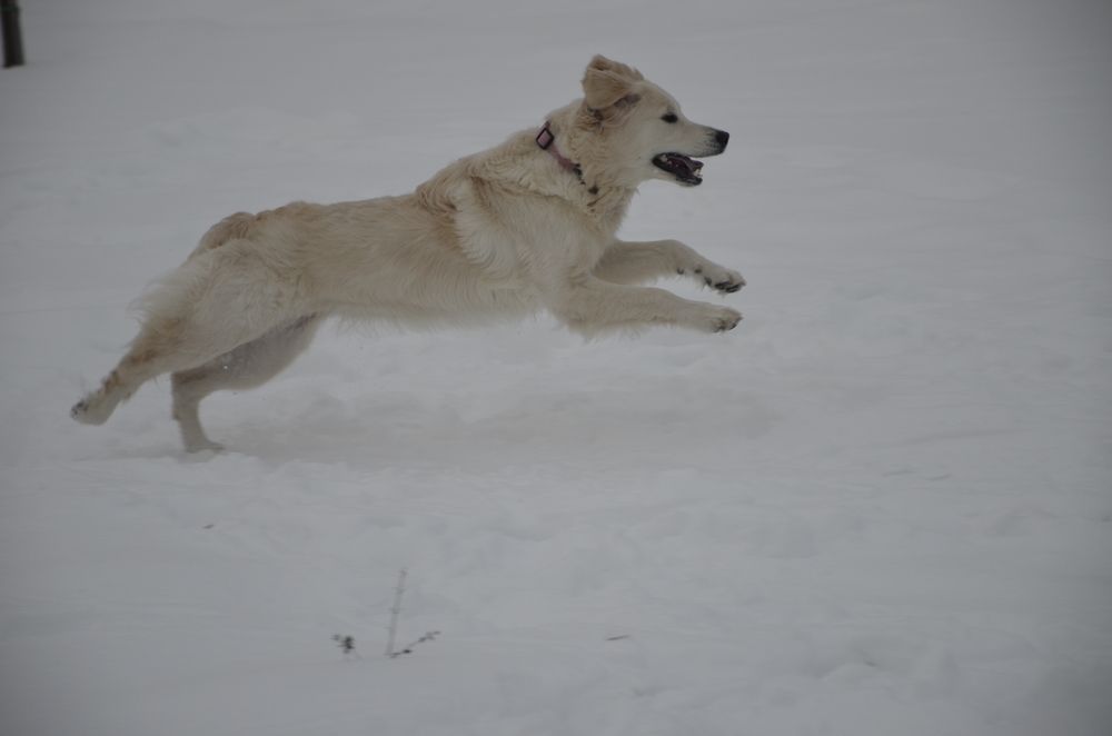 Фотография автора Алексей Власов