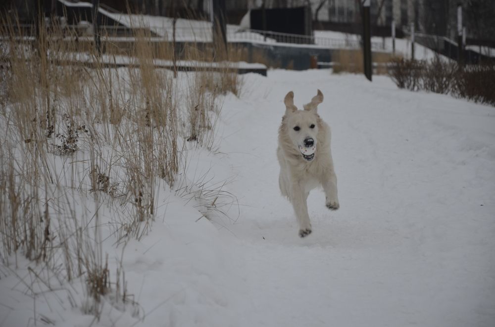 Фотография автора Алексей Власов