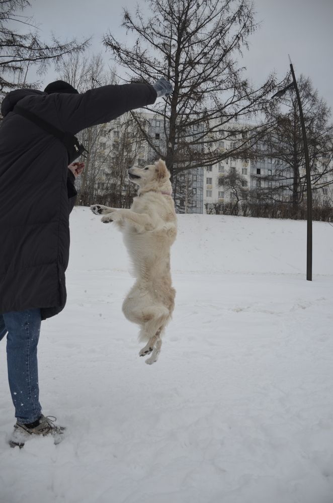 Фотография автора Алексей Власов