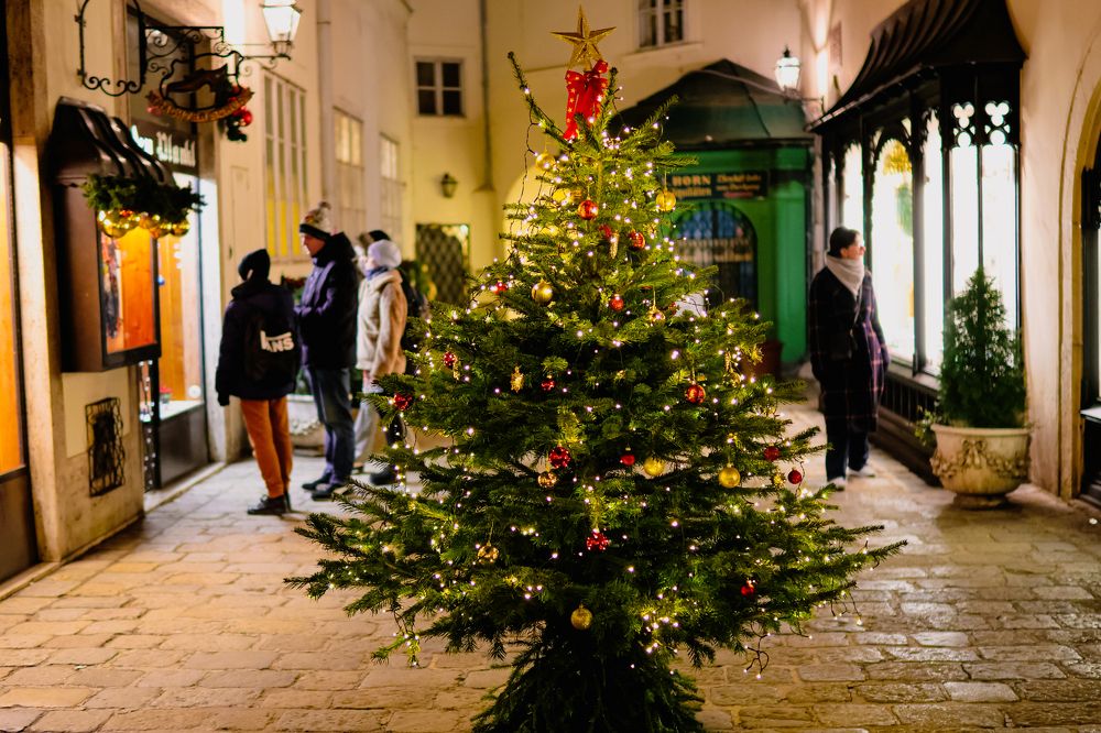 Photograph by Vladislav Tsanev