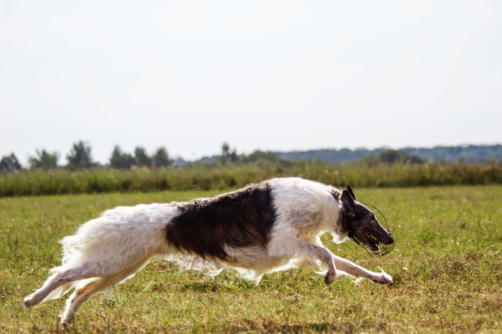 Photograph by Natalya Gracheva