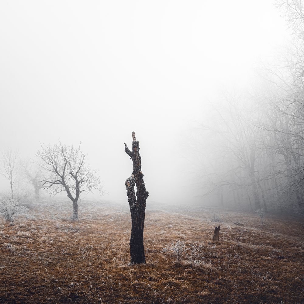 Фотография автора Oleg Suhenko