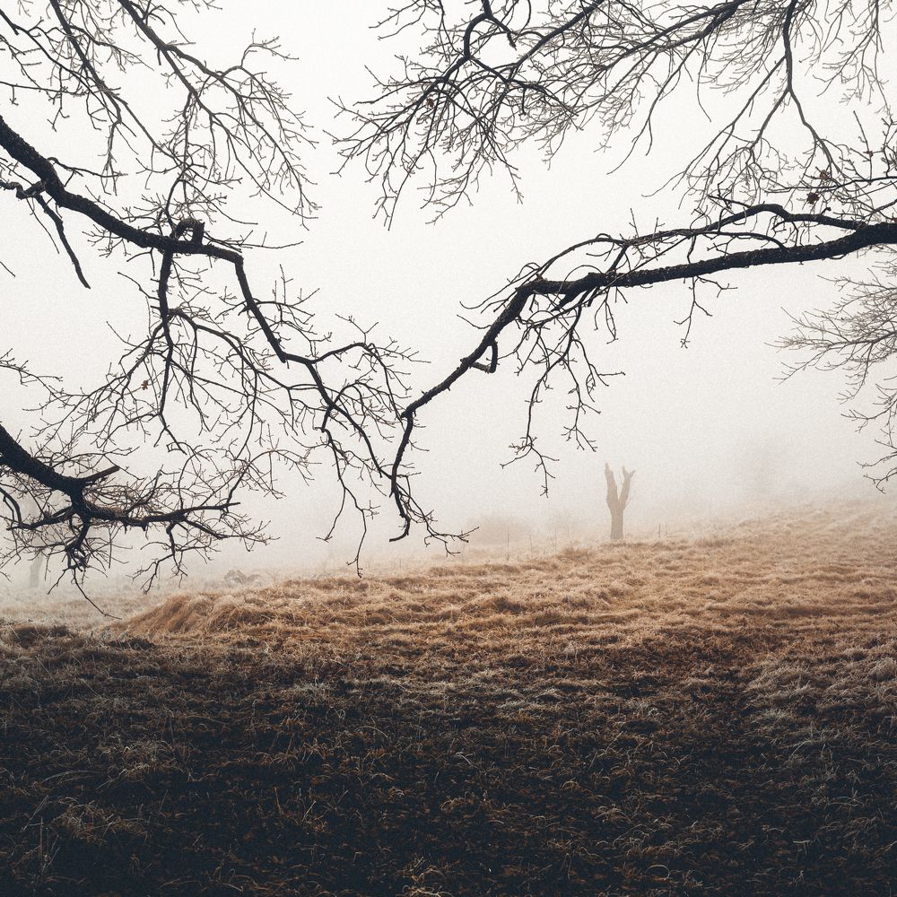 Фотография автора Oleg Suhenko