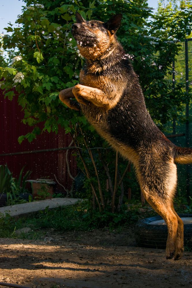 Photograph by Олег Алексеев