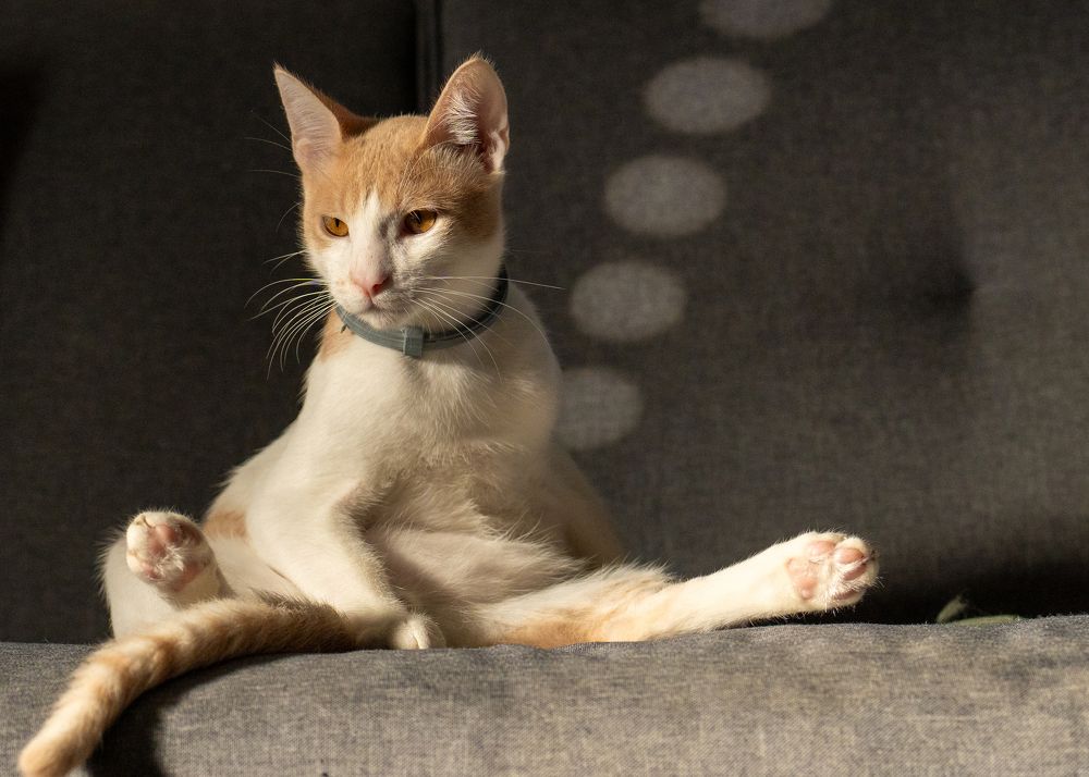 Photograph by Igor Shulkin