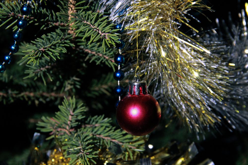 Photograph by Громова Мария