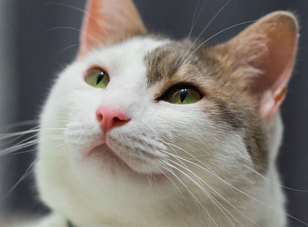 Photograph by Igor Shulkin