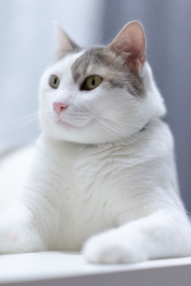 Photograph by Igor Shulkin