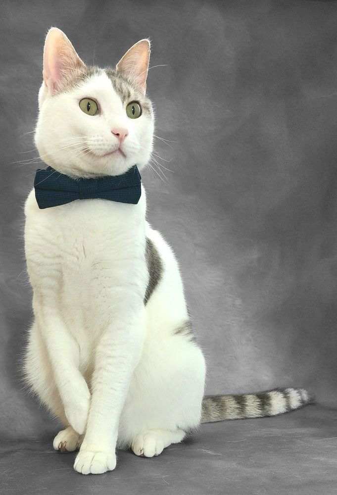 Photograph by Igor Shulkin