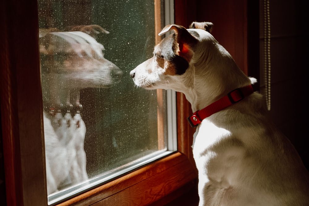 Photograph by Виктория