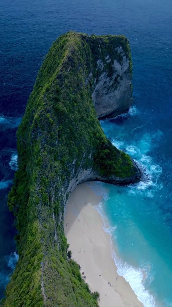 Нуса пенида