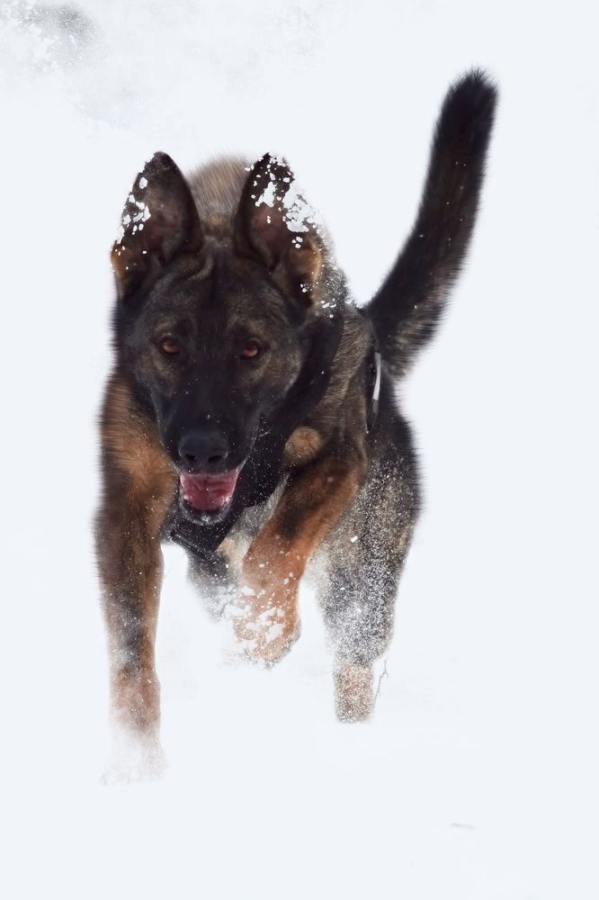 Photograph by Natalya Gracheva