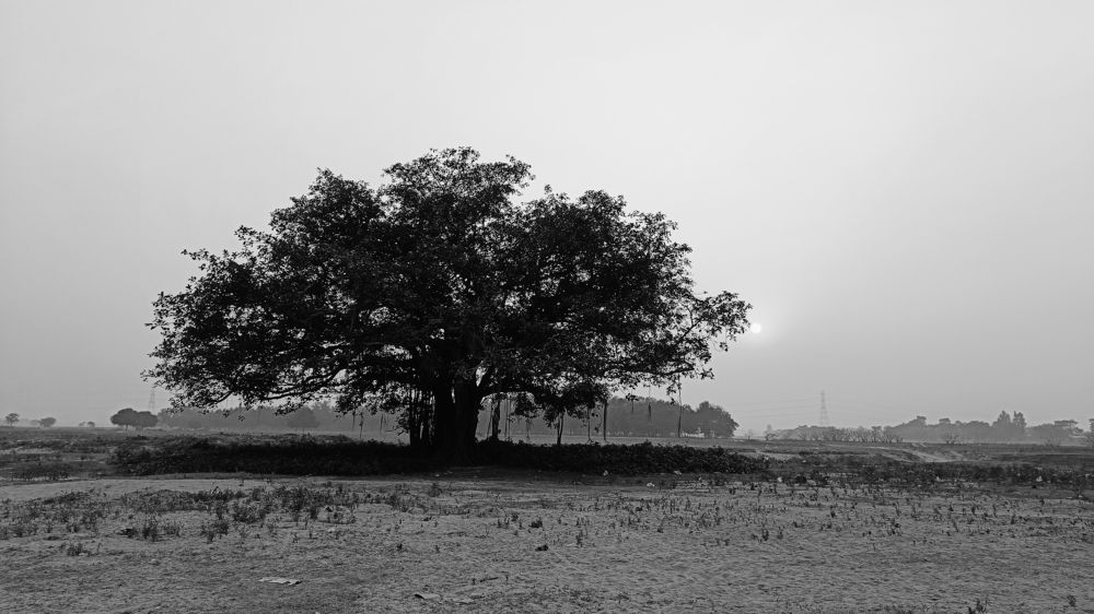 Фотография автора Shreyan Dey Sarkar