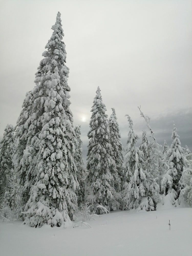 Photograph by Андрей