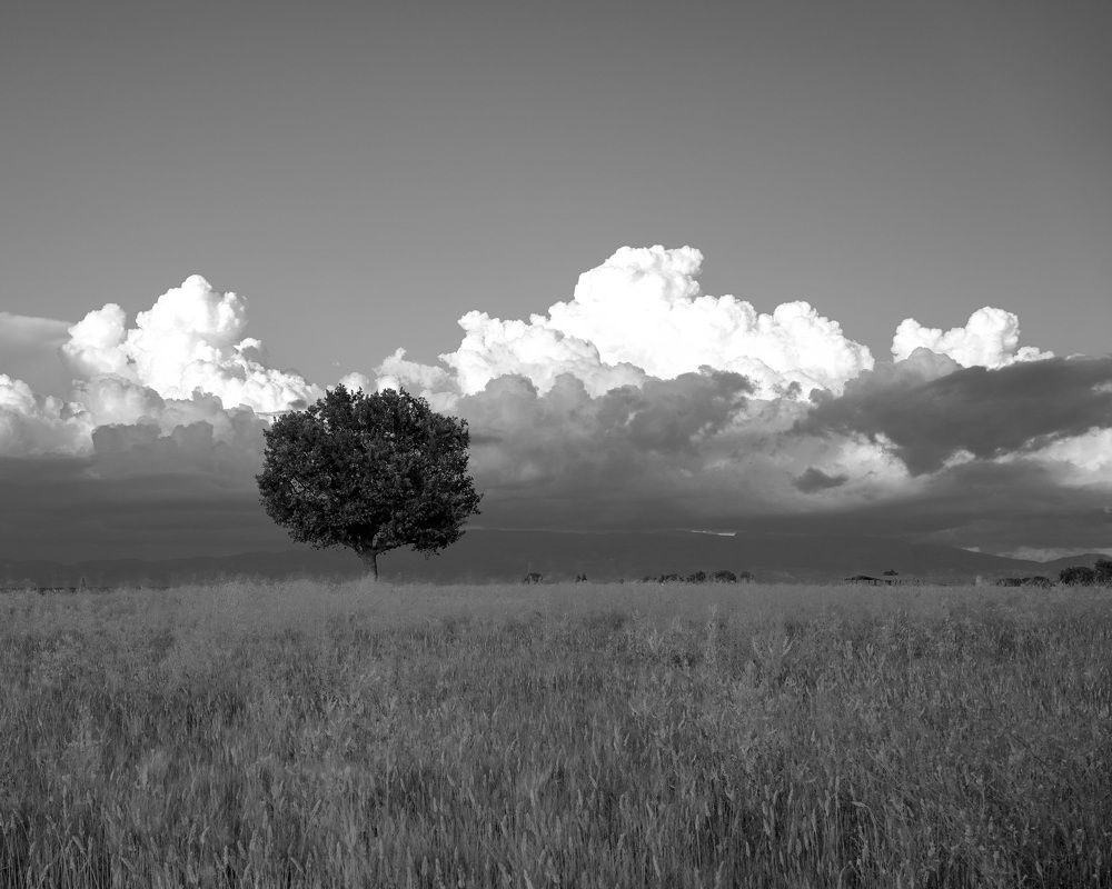 Photograph by Marina Odintsova