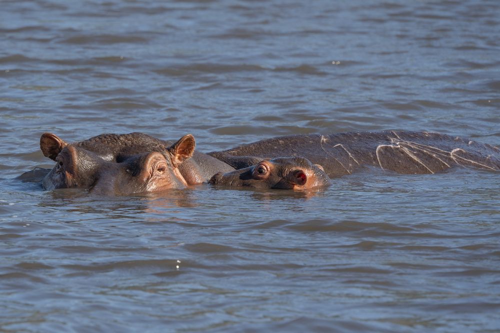 Photograph by Nodar Tvauri