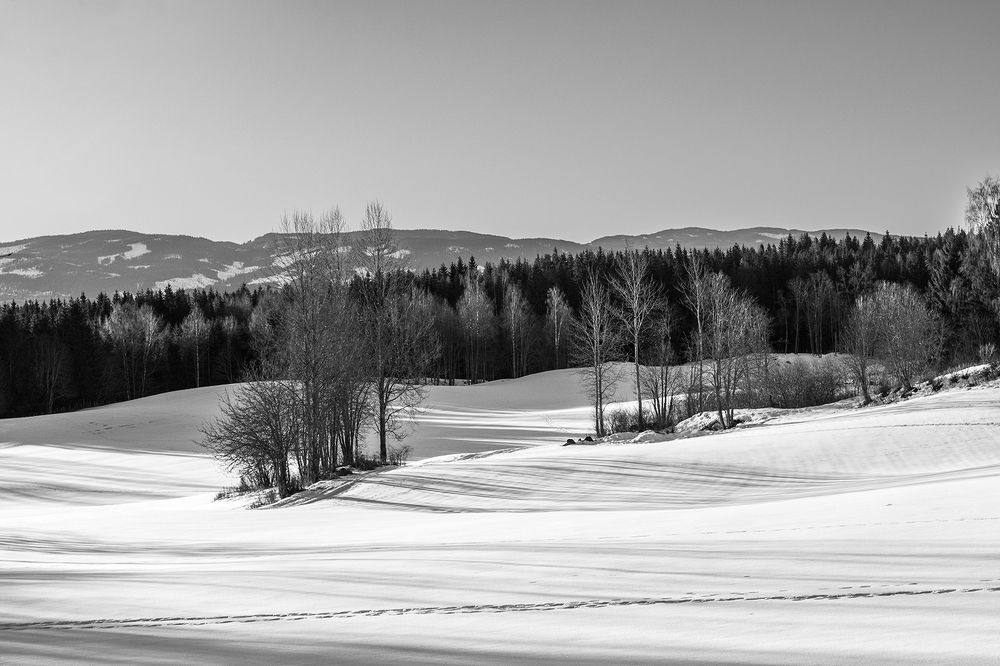 Photograph by Renee Johansson