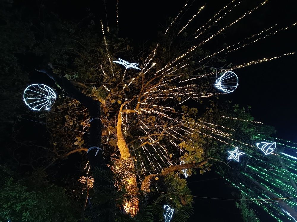 Фотография автора Shreyan Dey Sarkar