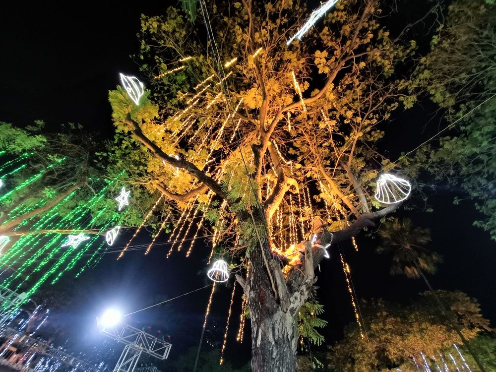 Фотография автора Shreyan Dey Sarkar