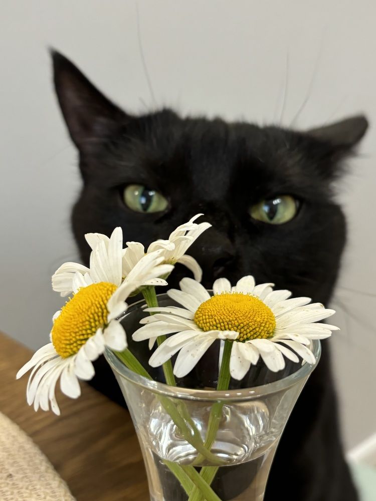 Photograph by Александра Зайниева