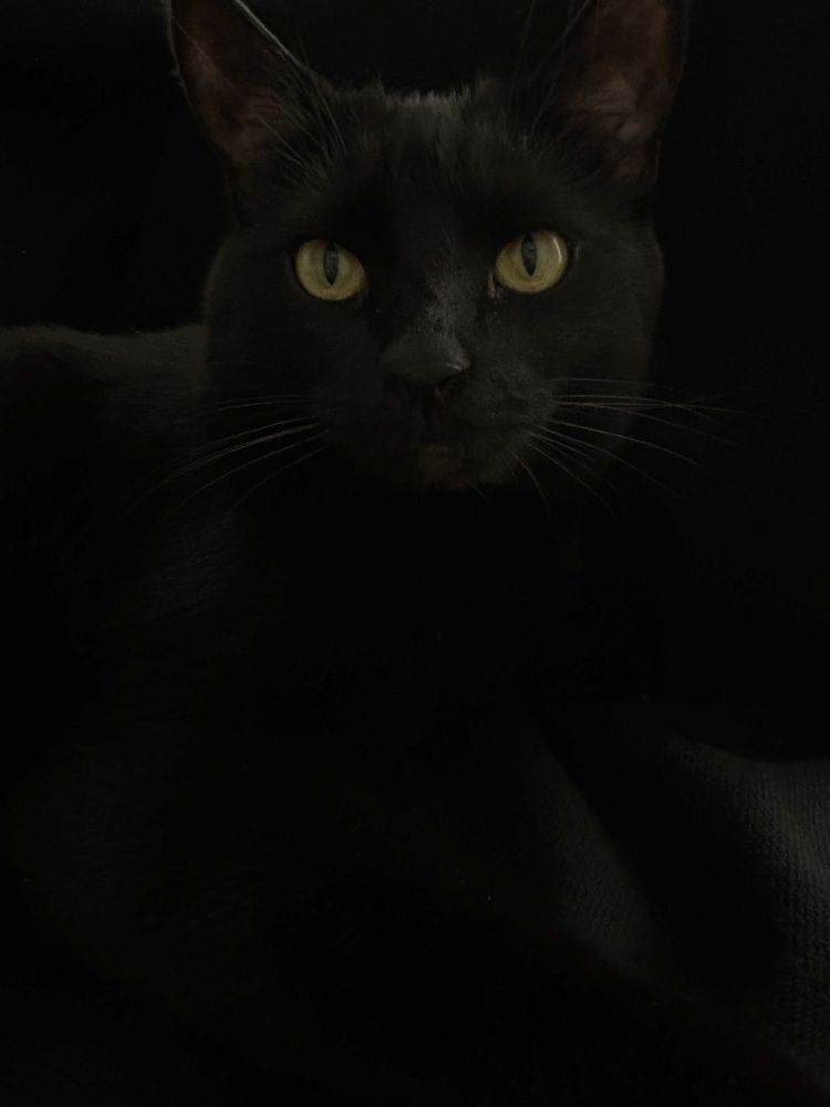 Photograph by Александра Зайниева