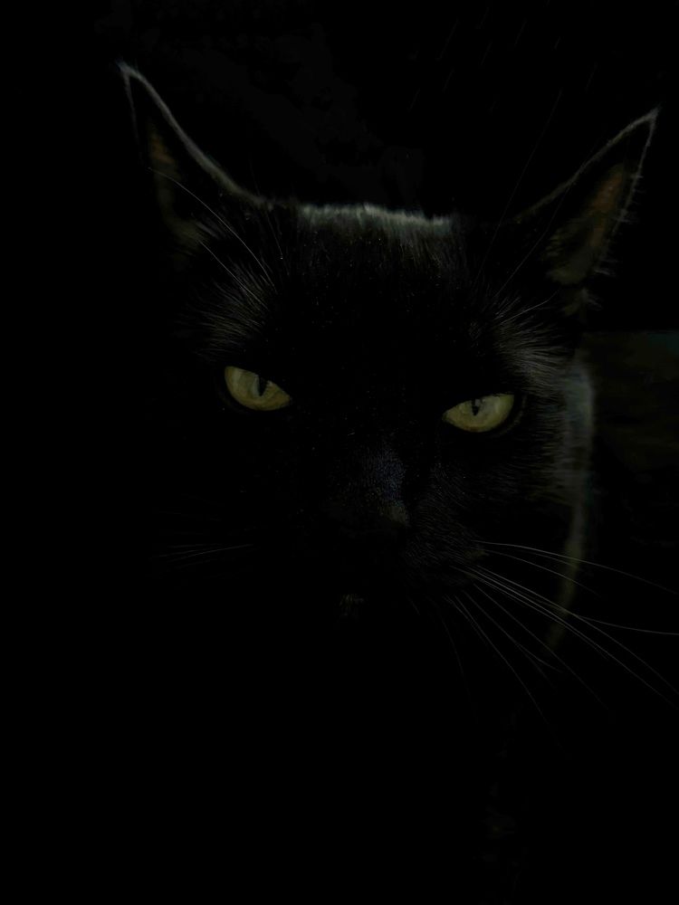 Photograph by Александра Зайниева