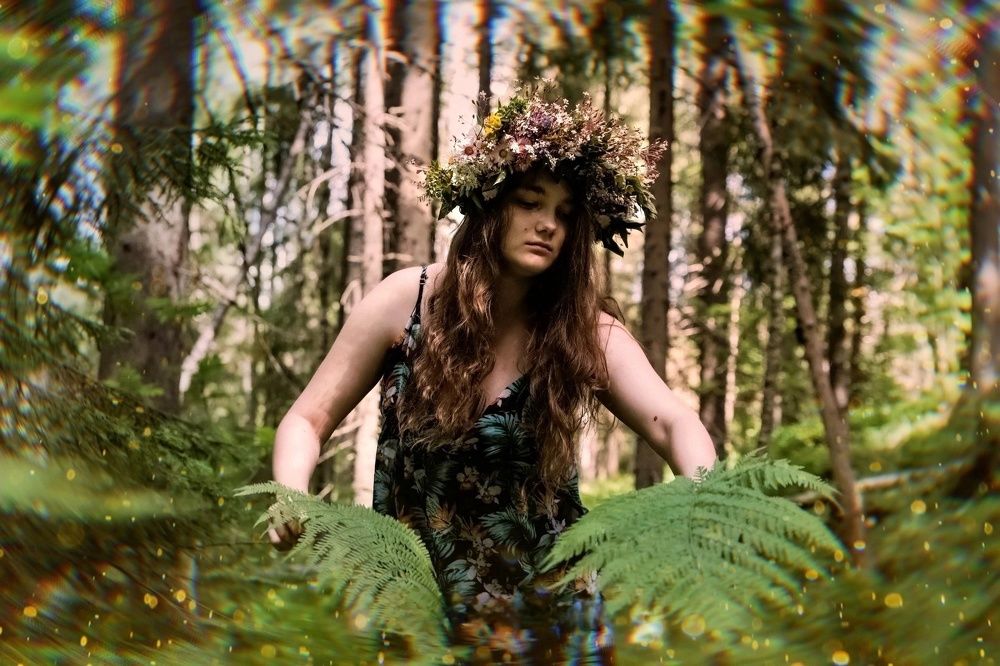 Цветок Папоротника