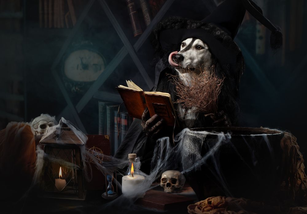 Photograph by Светлана Писарева