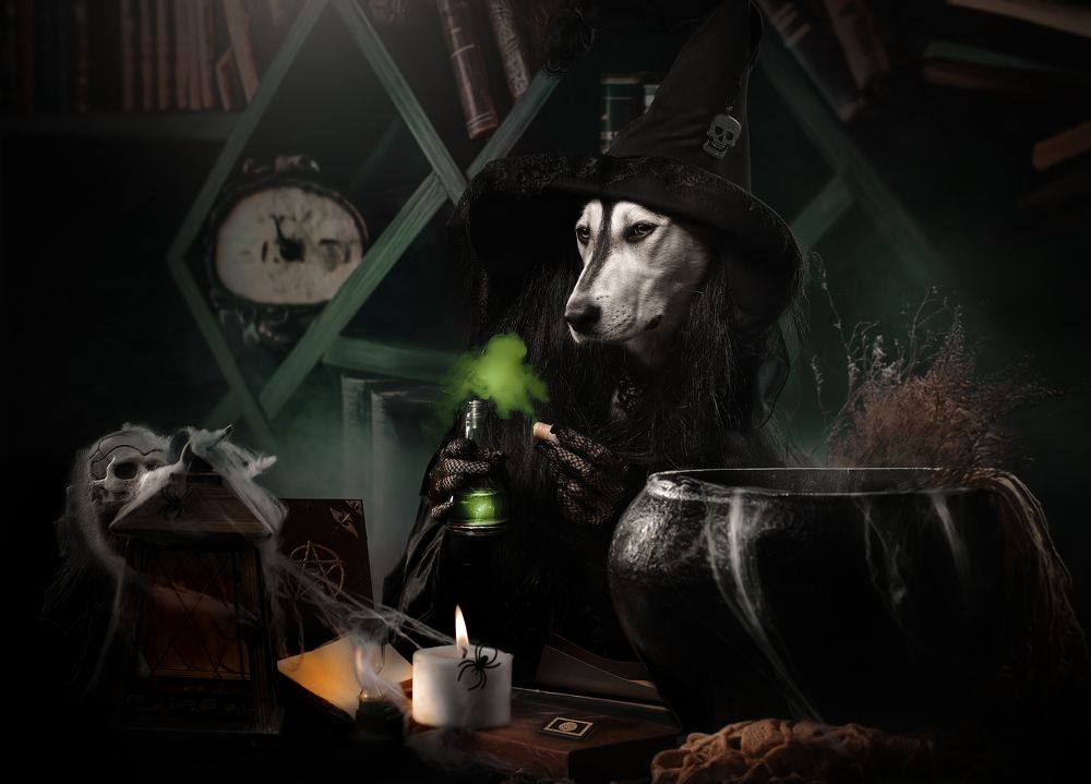 Photograph by Светлана Писарева