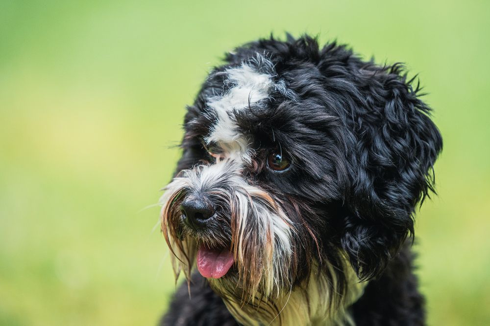 Photograph by Renee Johansson