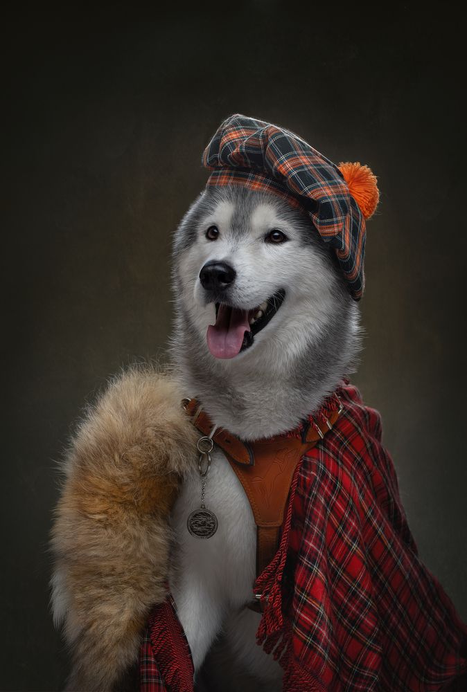 Фотография автора Светлана Писарева