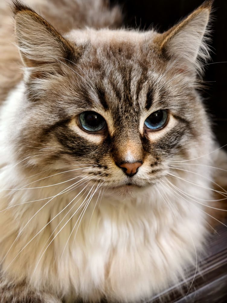 Photograph by Евгений Порсов