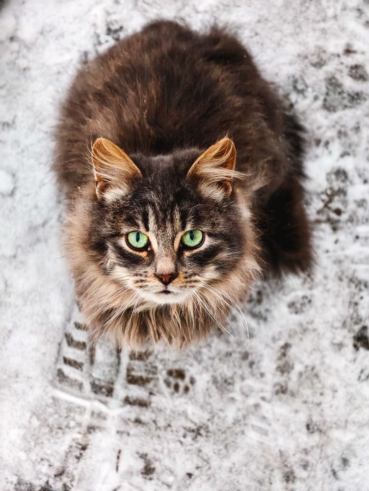 Photograph by Евгений Порсов