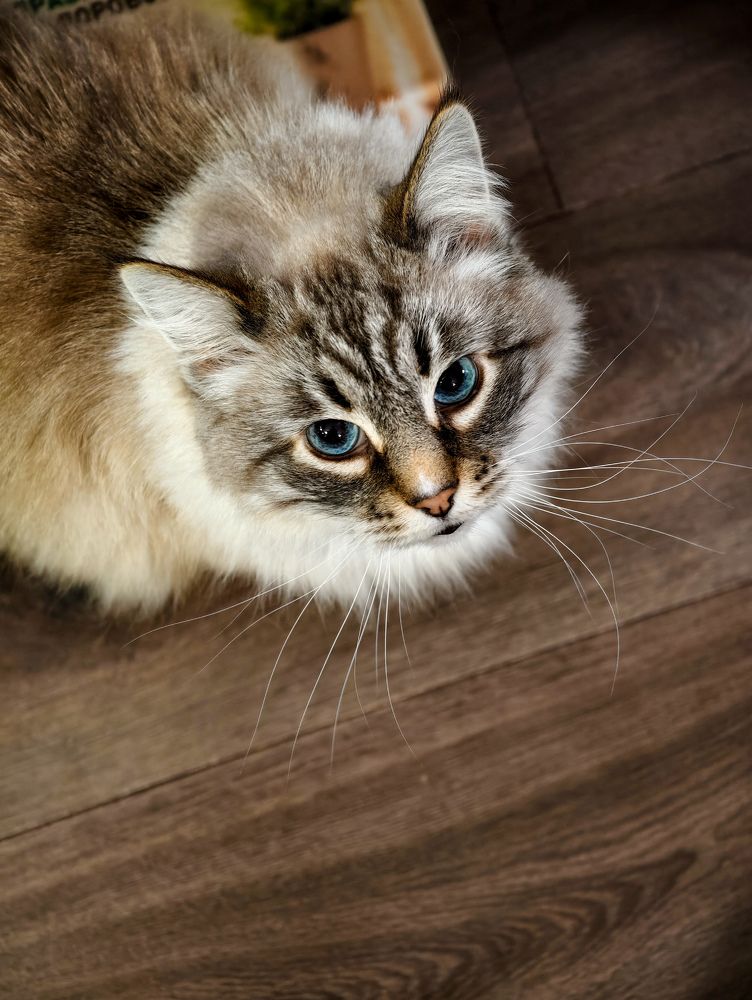 Photograph by Евгений Порсов