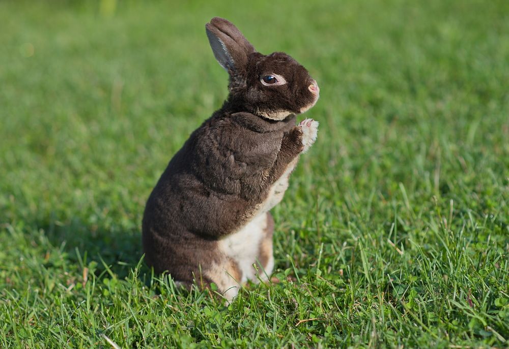 Photograph by Лидия Ушакова