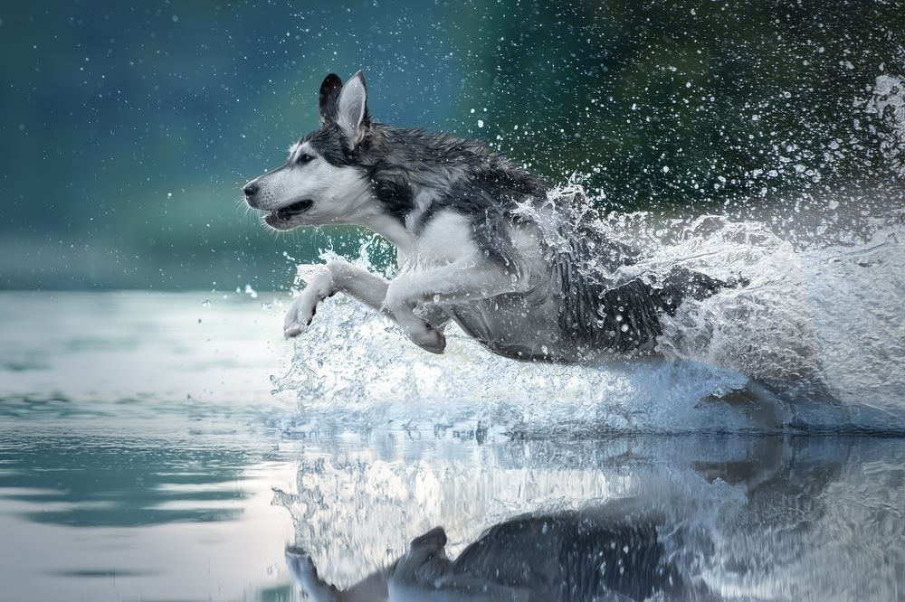 Photograph by Светлана Писарева